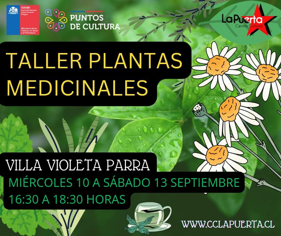 Taller de Plantas Medicinales